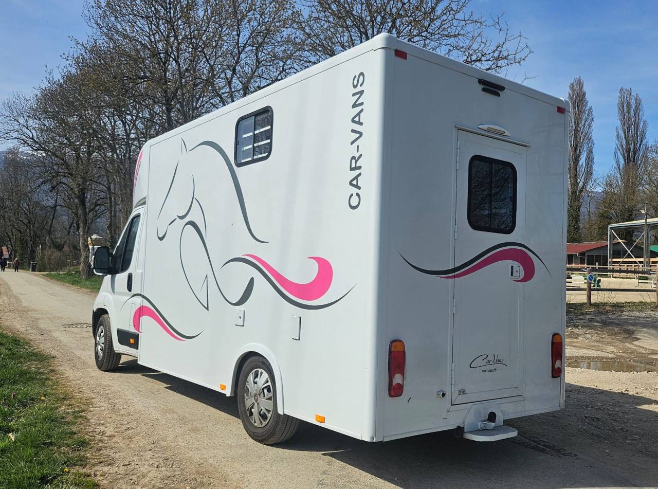 Kleine paardenvrachtwagen (B rijbewijs) Fiat  Ducato 2,2 Diesel  180 chevaux 2023 Tweedehands