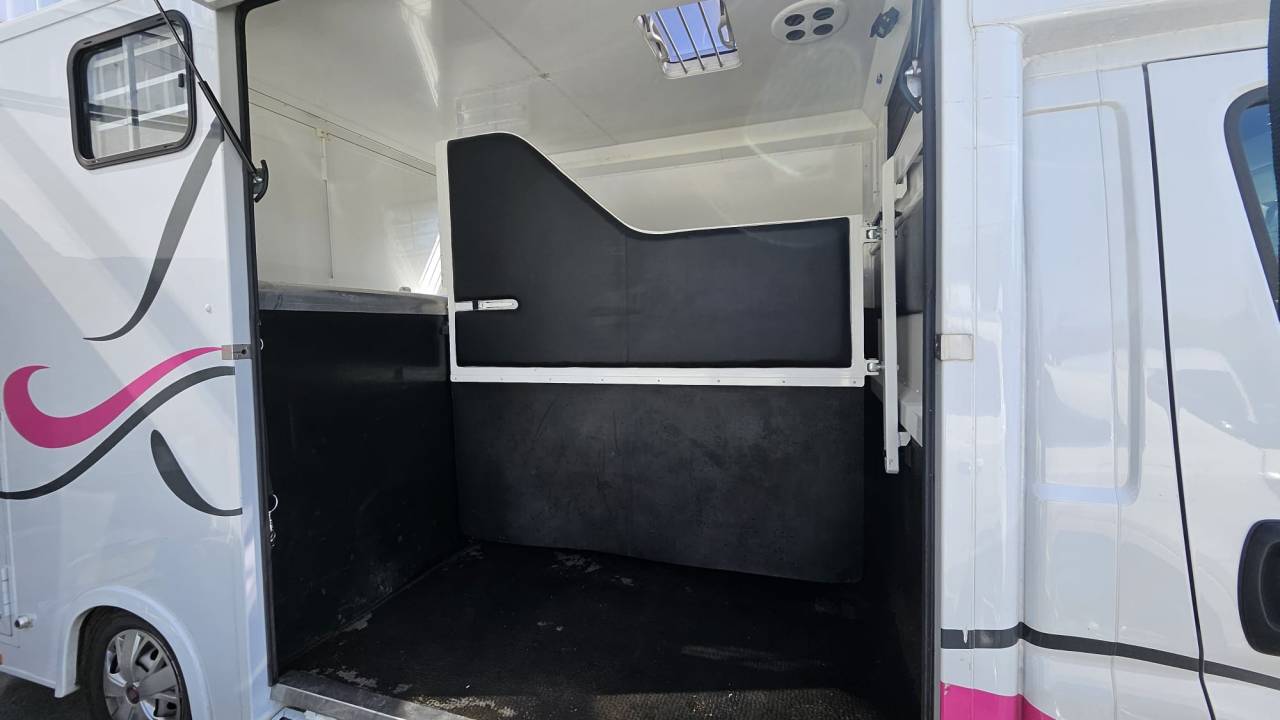 Kleine paardenvrachtwagen (B rijbewijs) Fiat  Ducato 2,2 Diesel  180 chevaux 2023 Tweedehands