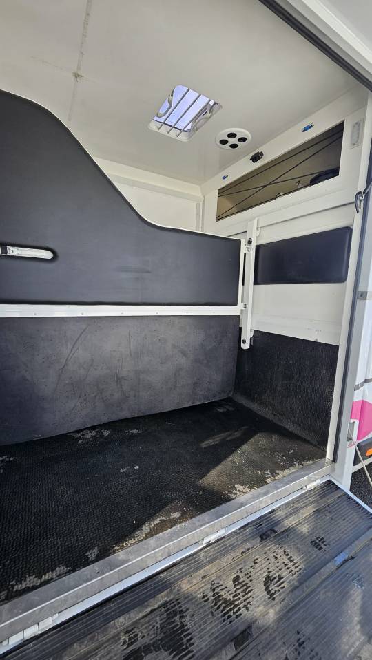 Kleine paardenvrachtwagen (B rijbewijs) Fiat  Ducato 2,2 Diesel  180 chevaux 2023 Tweedehands