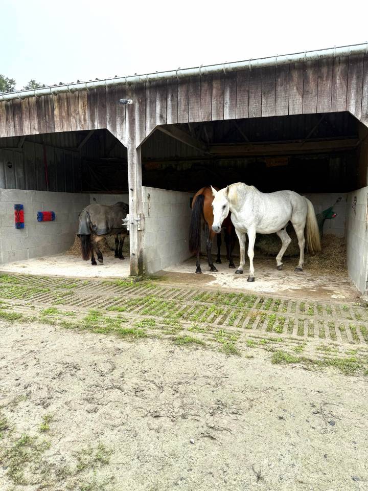 Mooi hippisch vastgoed Koop Ile-et-Vilaine