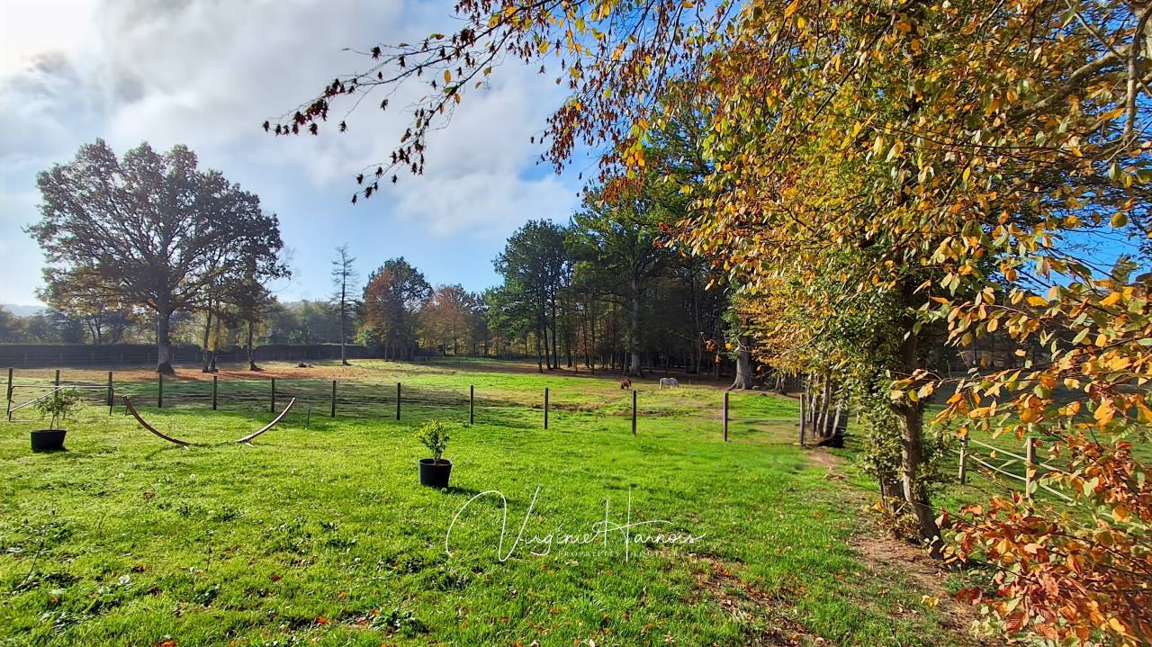 Hippisch vastgoed Koop Calvados