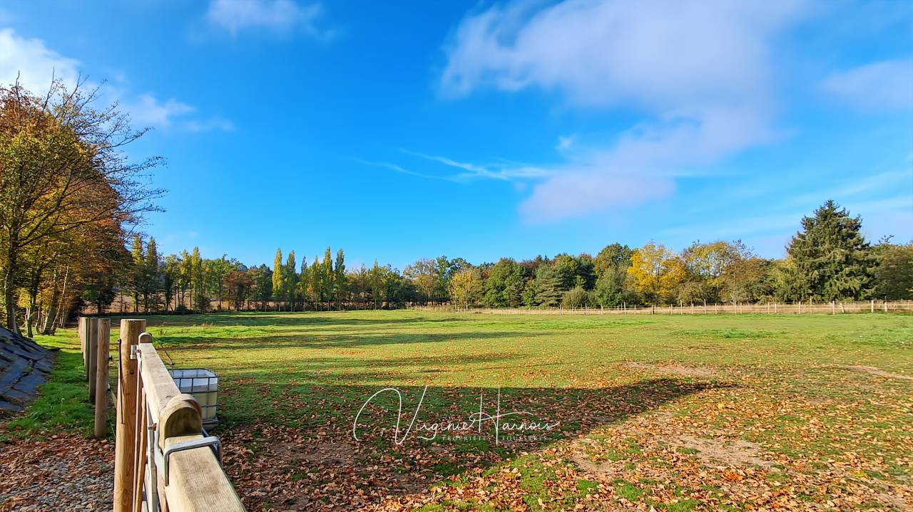 Hippisch vastgoed Koop Calvados