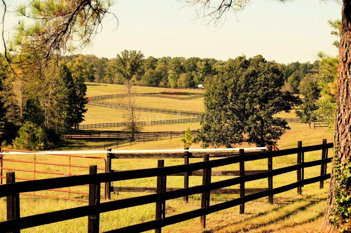 Ruiterclub Koop Allier