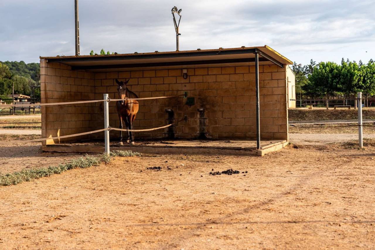 Ruiterclub Koop Gérone