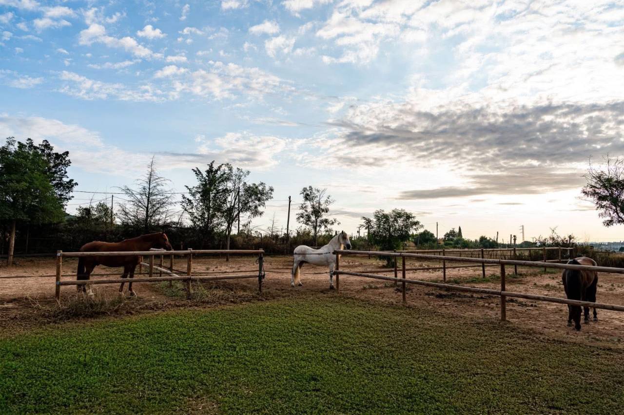Ruiterclub Koop Gérone