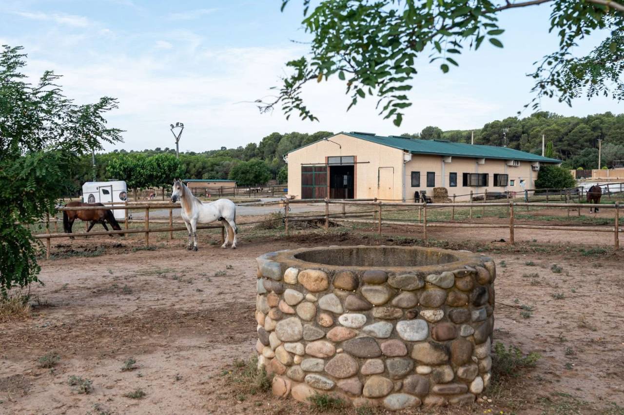 Ruiterclub Koop Gérone