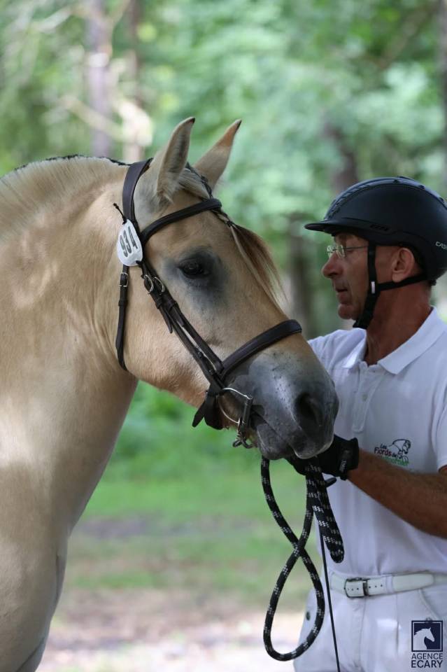 Ruin Fjord Te koop 2022 Isabel