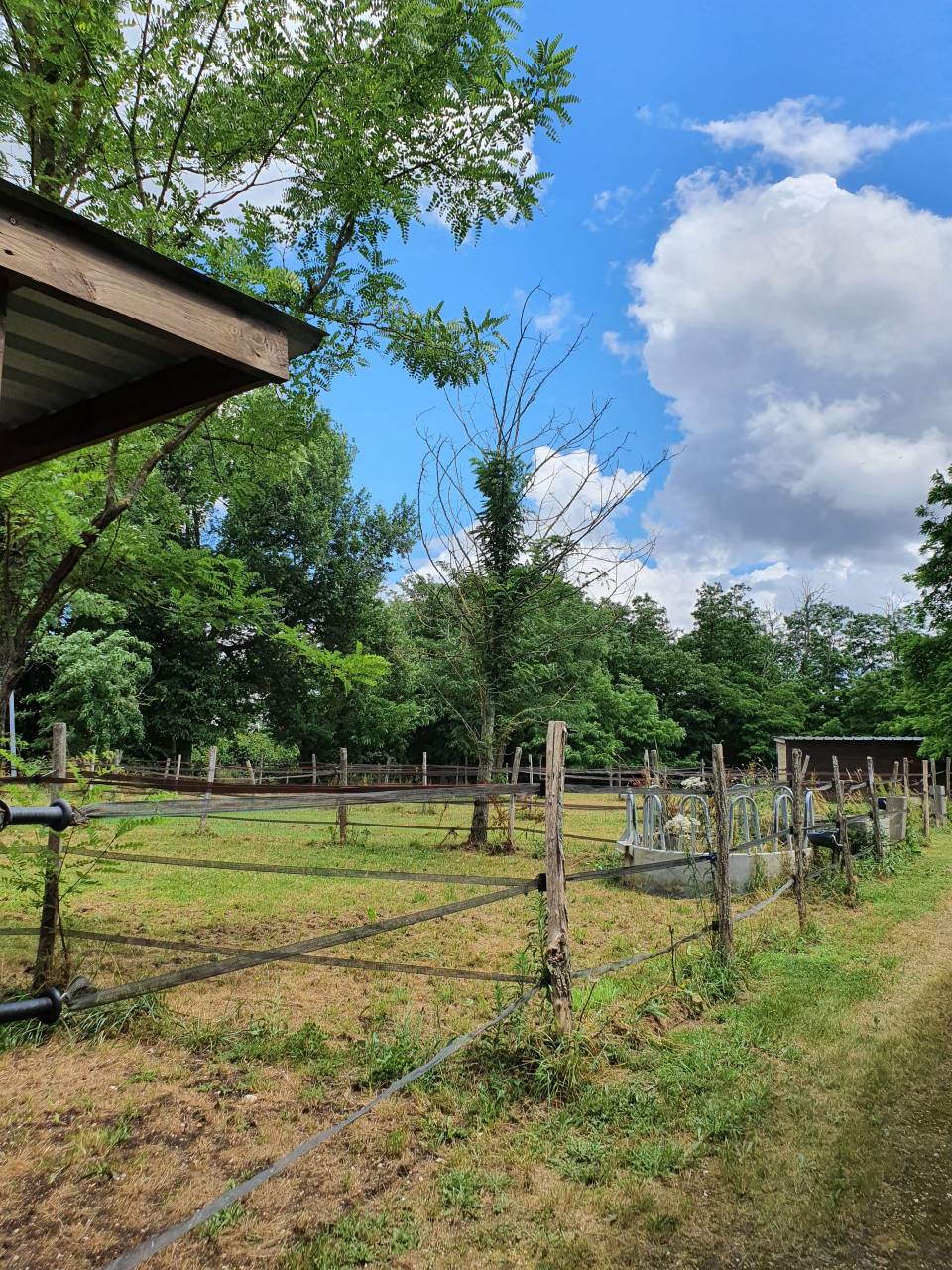 Hippisch vastgoed Koop Tarn-et-Garonne