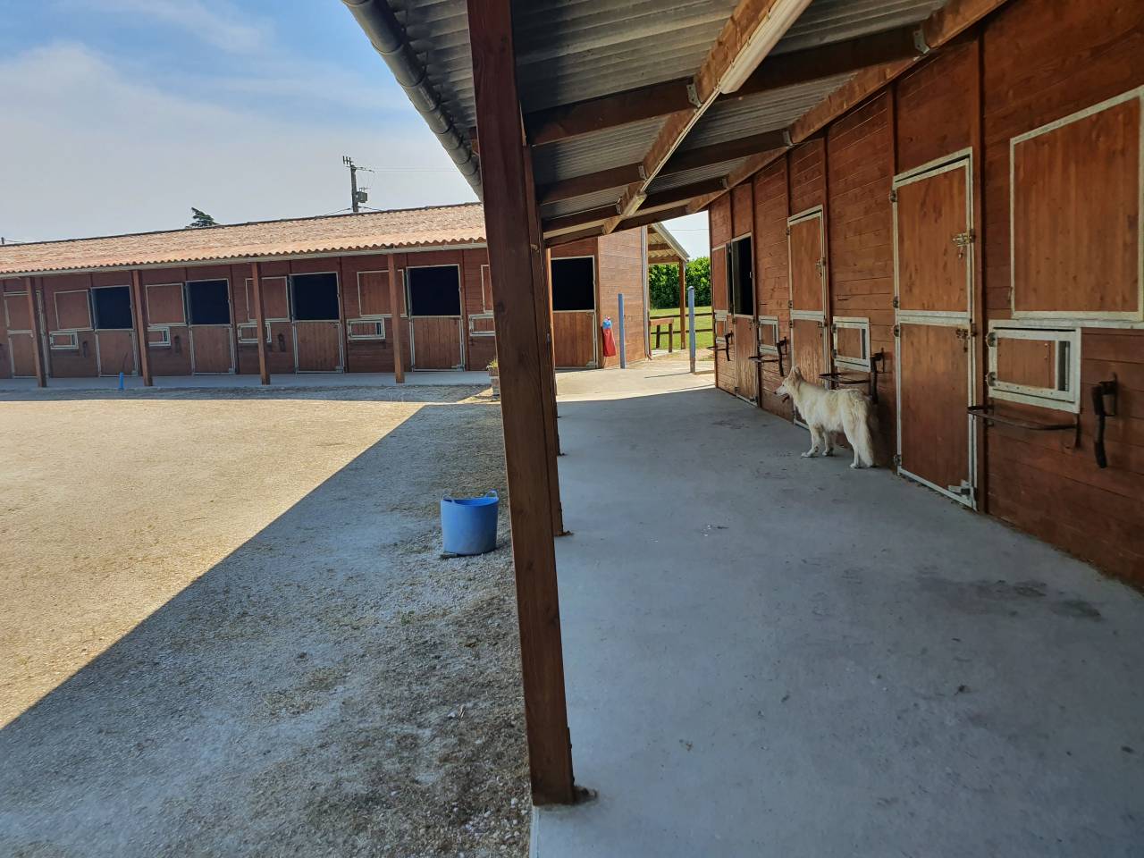 Hippisch vastgoed Koop Tarn-et-Garonne