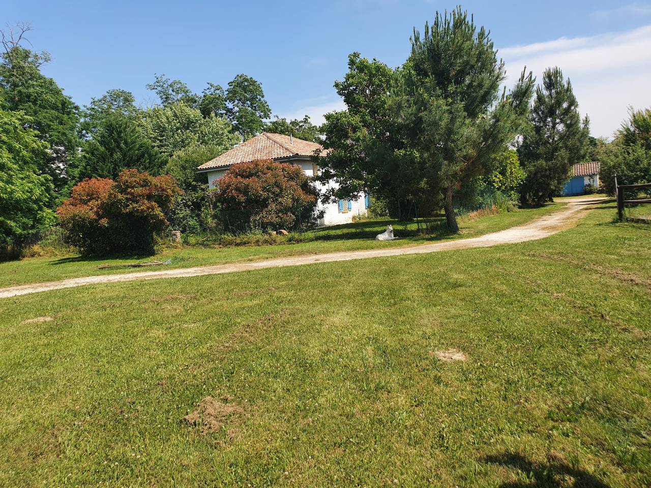 Hippisch vastgoed Koop Tarn-et-Garonne