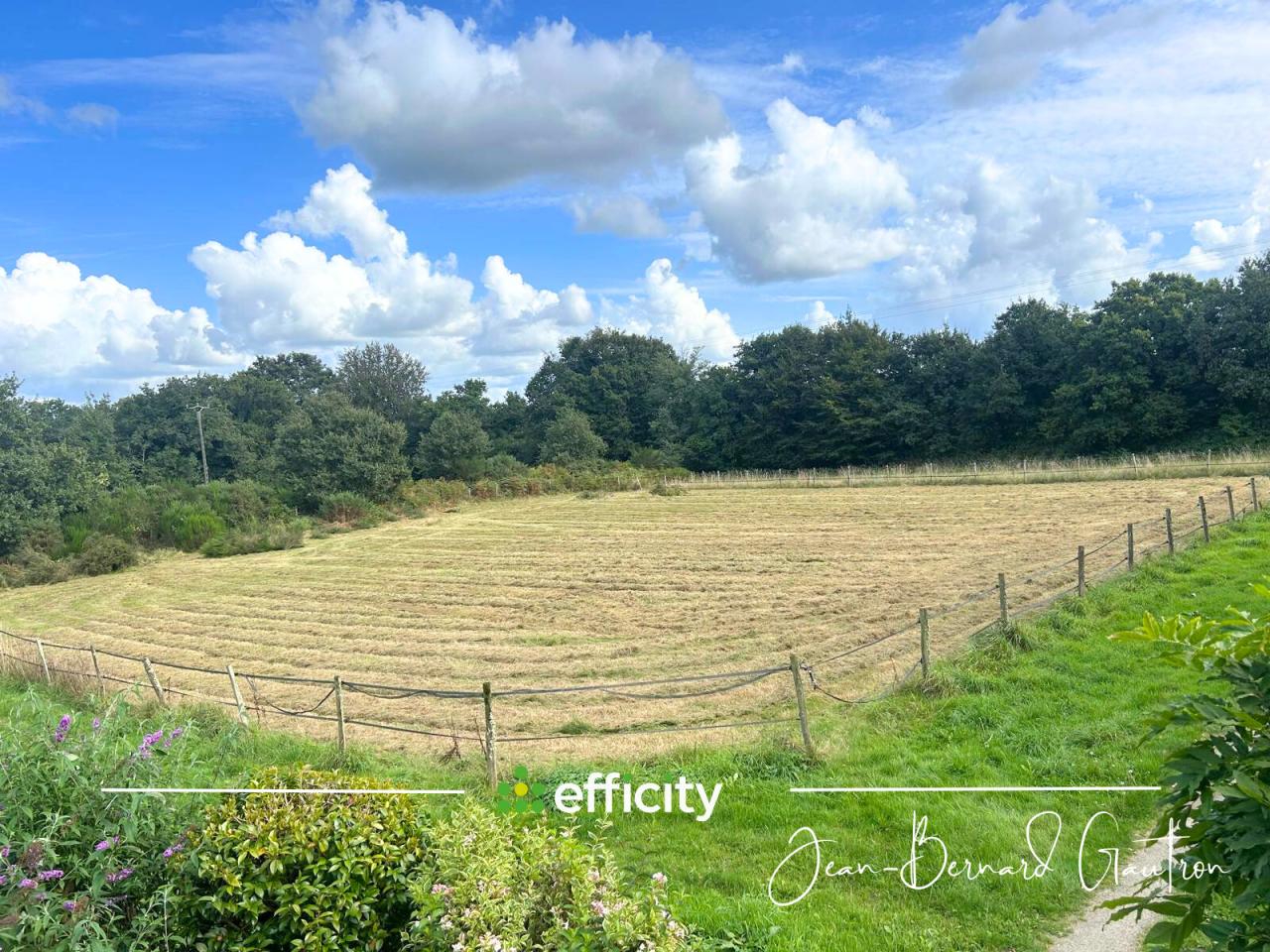 Hippisch vastgoed Koop Côte d'Armor