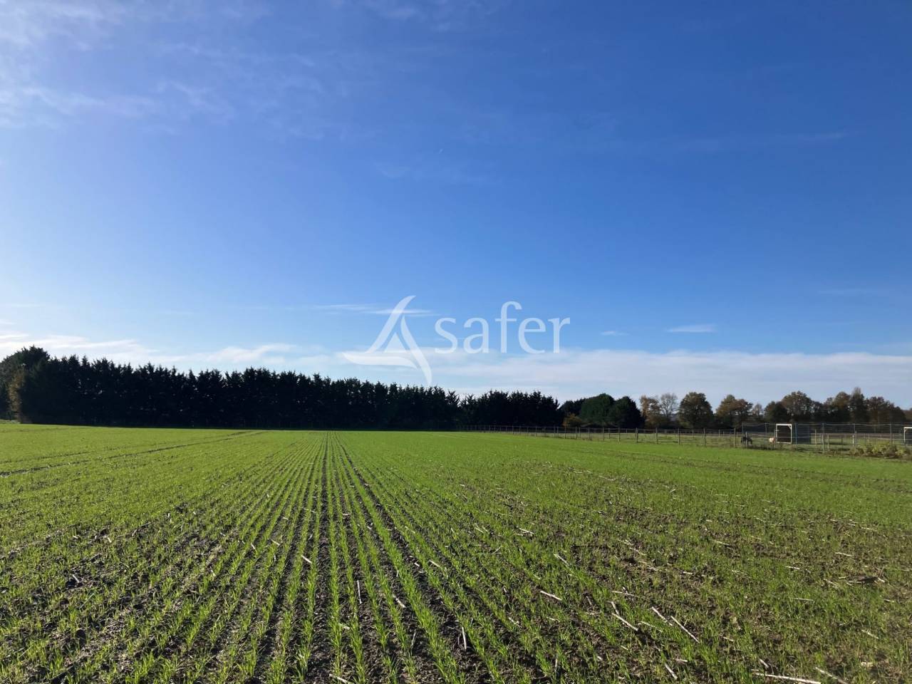 Landbouw bedrijf Koop Indre-et-Loire
