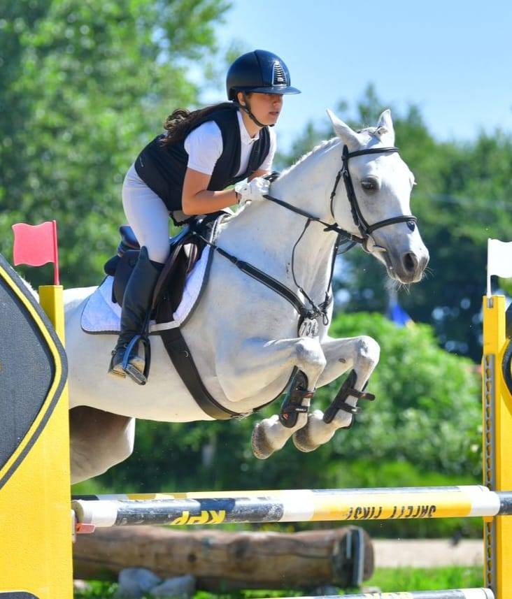 Merrie Connemara Te koop 2018 Schimmel ,  GENTLE CHARLIE