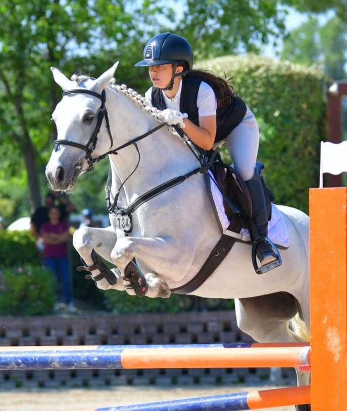 Merrie Connemara Te koop 2018 Schimmel ,  GENTLE CHARLIE