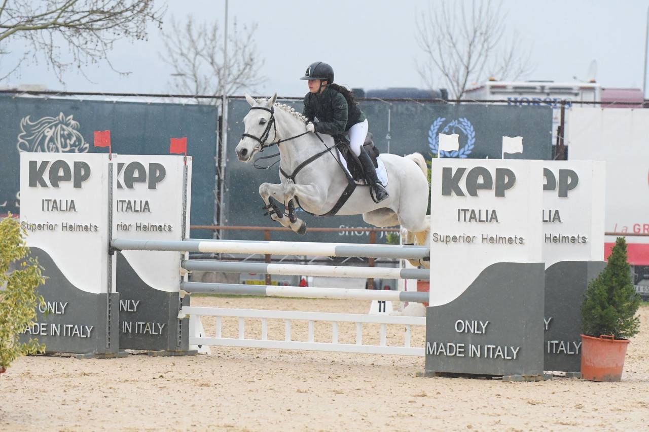 Merrie Connemara Te koop 2018 Schimmel ,  GENTLE CHARLIE