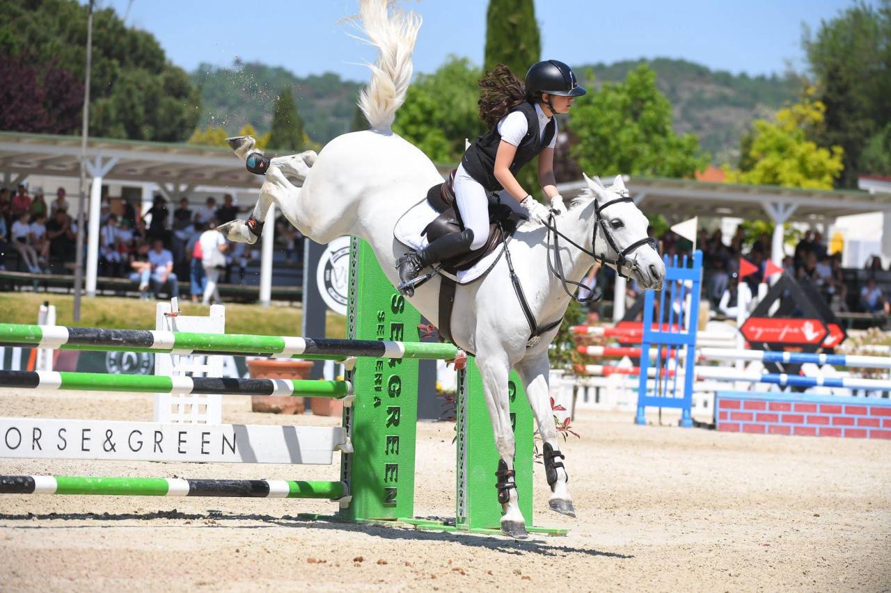 Merrie Connemara Te koop 2018 Schimmel ,  GENTLE CHARLIE