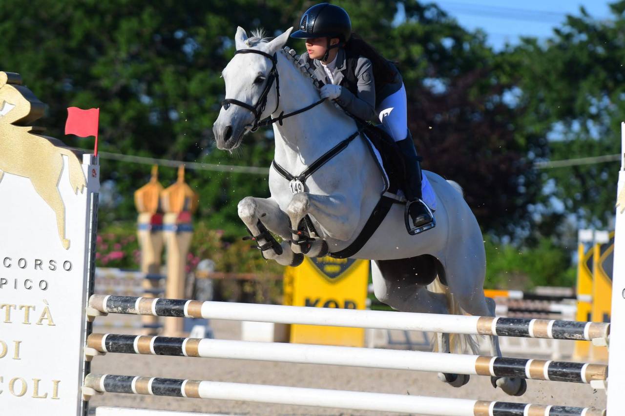 Merrie Connemara Te koop 2018 Schimmel ,  GENTLE CHARLIE