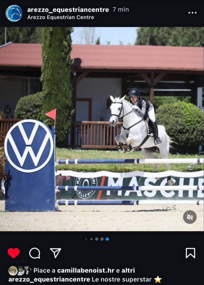 Merrie Connemara Te koop 2018 Schimmel ,  GENTLE CHARLIE