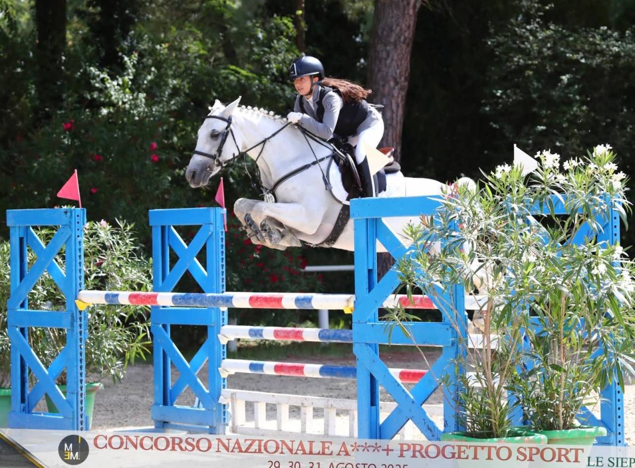 Merrie Connemara Te koop 2018 Schimmel ,  GENTLE CHARLIE