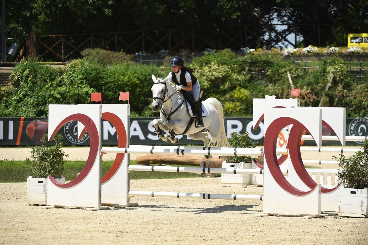 Merrie Connemara Te koop 2018 Schimmel ,  GENTLE CHARLIE