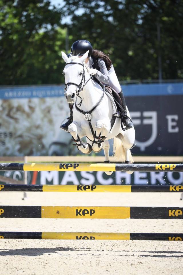 Merrie Connemara Te koop 2018 Schimmel ,  GENTLE CHARLIE