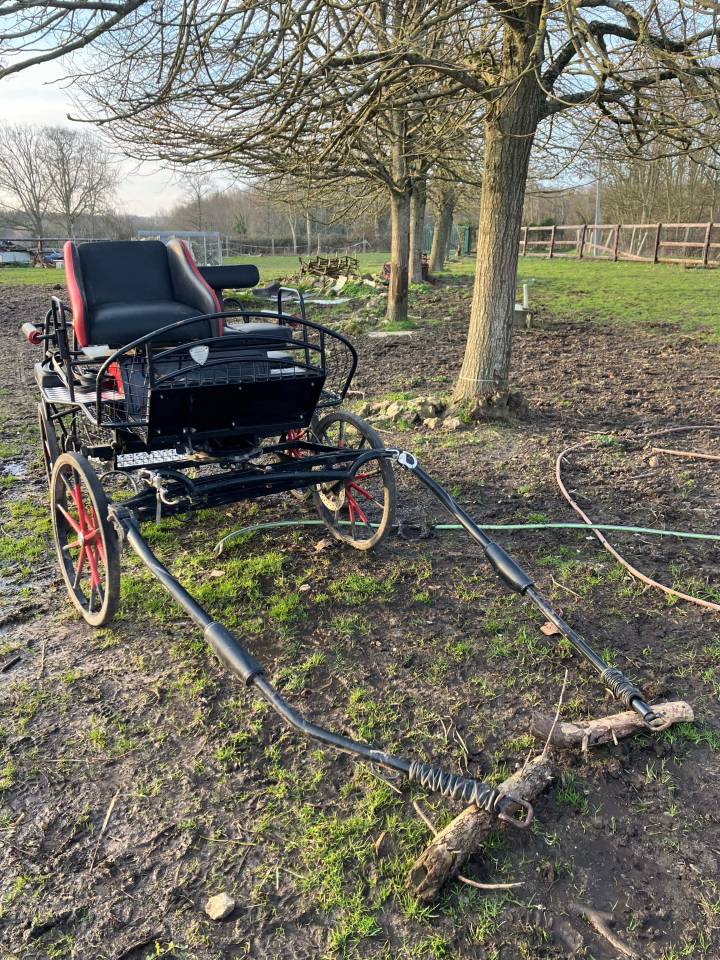 Rijtuigen - Ander rijtuig - Ander merk -  