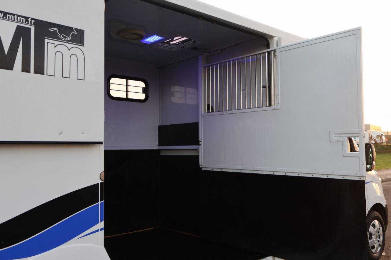 Kleine paardenvrachtwagen (B rijbewijs) MTM FILOVAN MASTER  2018 Tweedehands