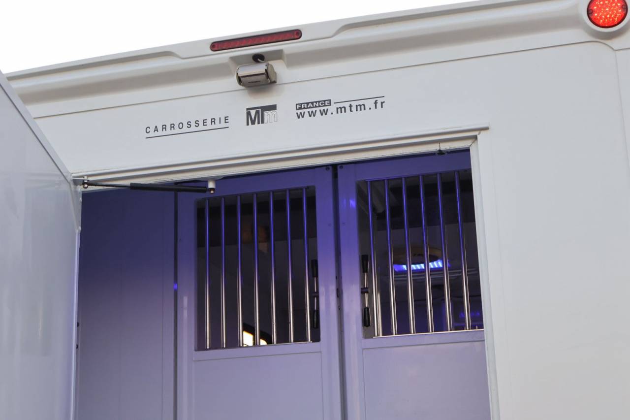 Kleine paardenvrachtwagen (B rijbewijs) MTM FILOVAN MASTER  2018 Tweedehands