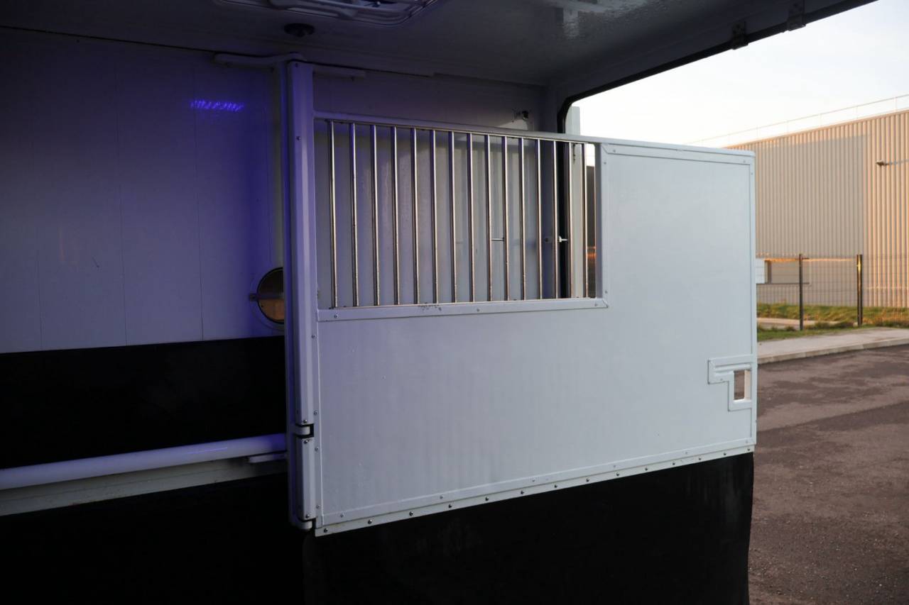 Kleine paardenvrachtwagen (B rijbewijs) MTM FILOVAN MASTER  2018 Tweedehands