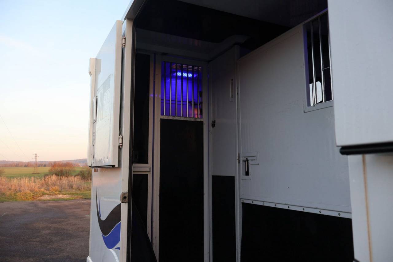 Kleine paardenvrachtwagen (B rijbewijs) MTM FILOVAN MASTER  2018 Tweedehands