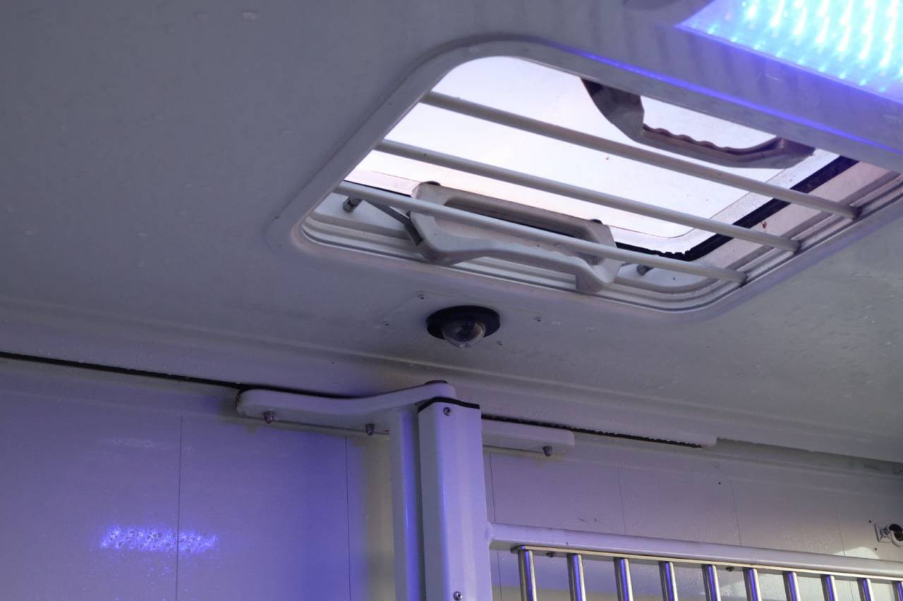 Kleine paardenvrachtwagen (B rijbewijs) MTM FILOVAN MASTER  2018 Tweedehands