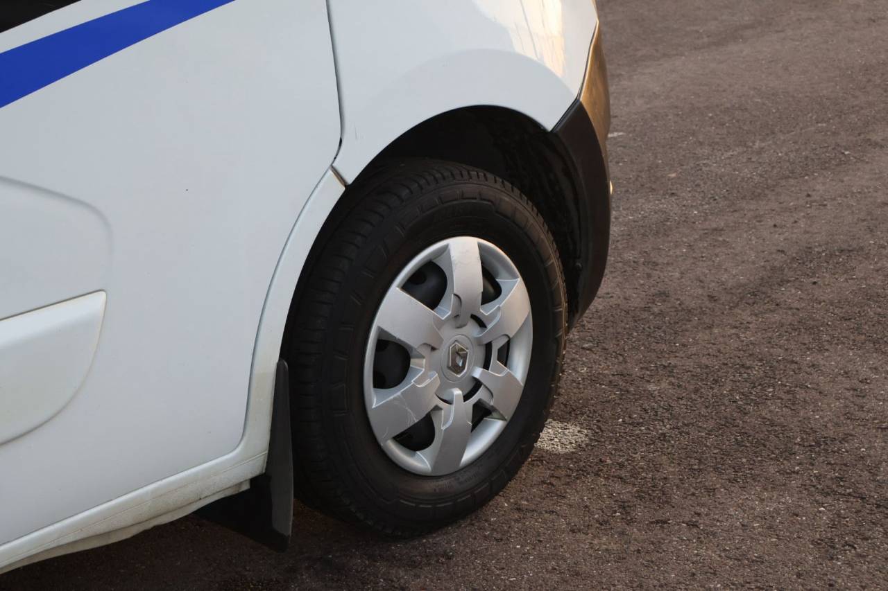 Kleine paardenvrachtwagen (B rijbewijs) MTM FILOVAN MASTER  2018 Tweedehands