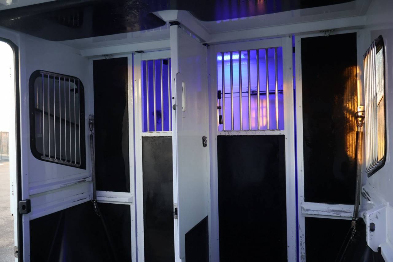 Kleine paardenvrachtwagen (B rijbewijs) MTM FILOVAN MASTER  2018 Tweedehands