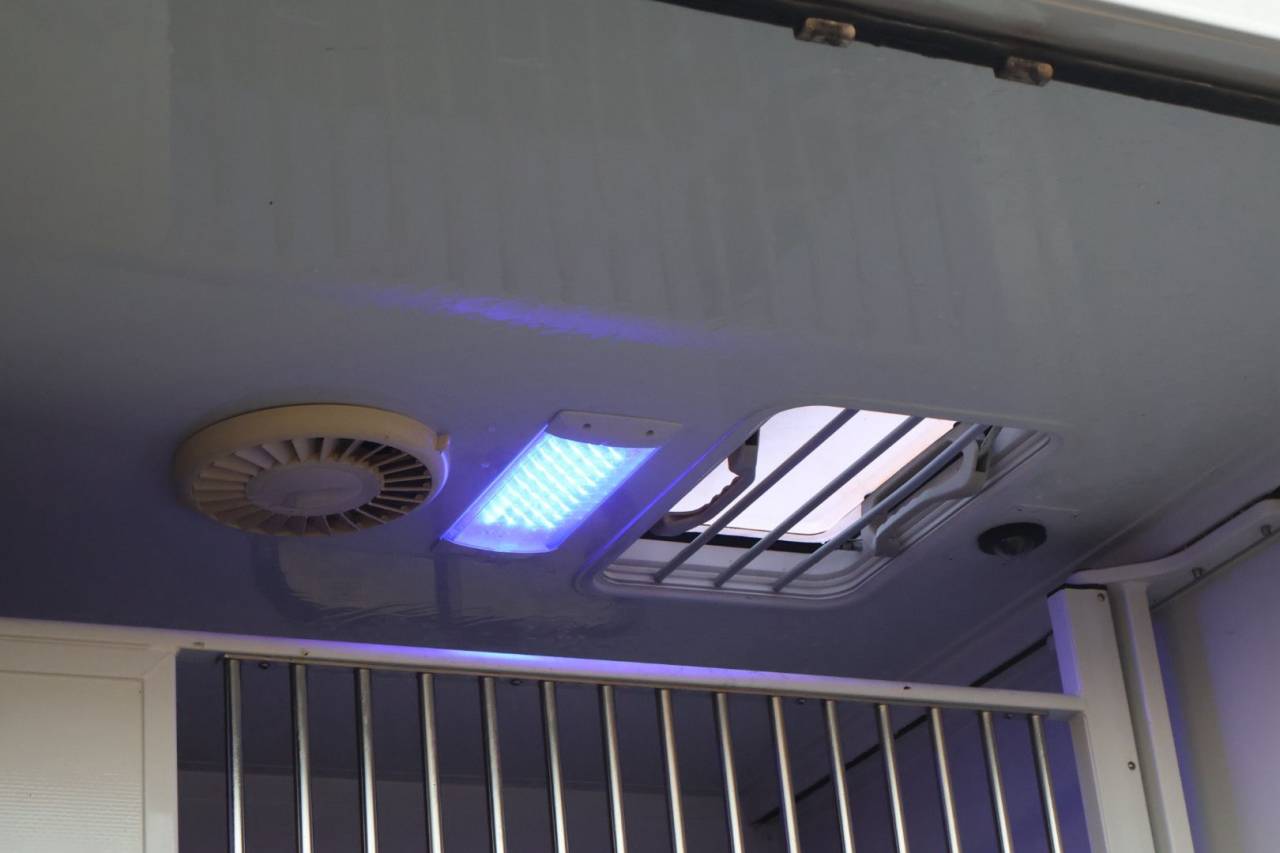 Kleine paardenvrachtwagen (B rijbewijs) MTM FILOVAN MASTER  2018 Tweedehands