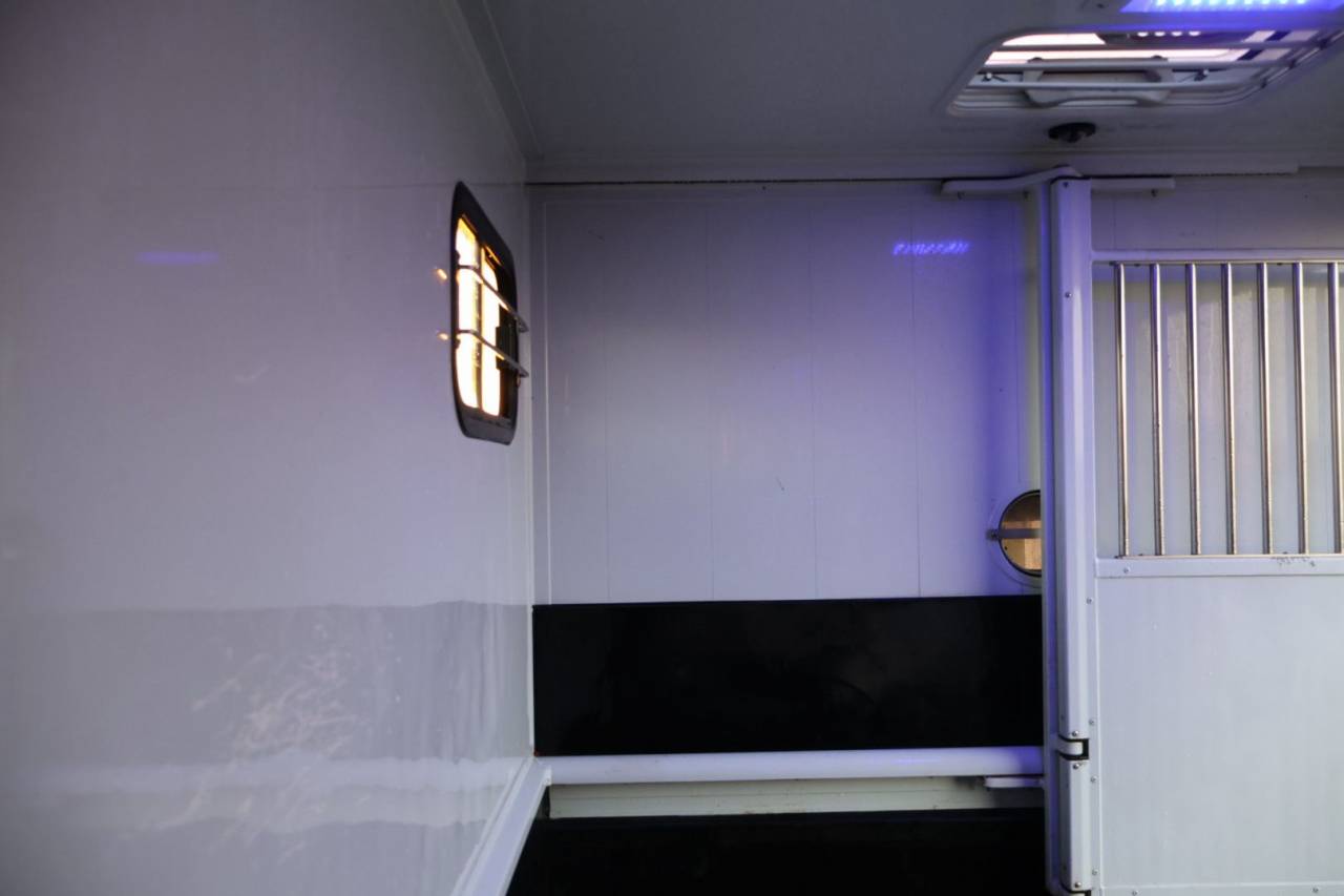 Kleine paardenvrachtwagen (B rijbewijs) MTM FILOVAN MASTER  2018 Tweedehands