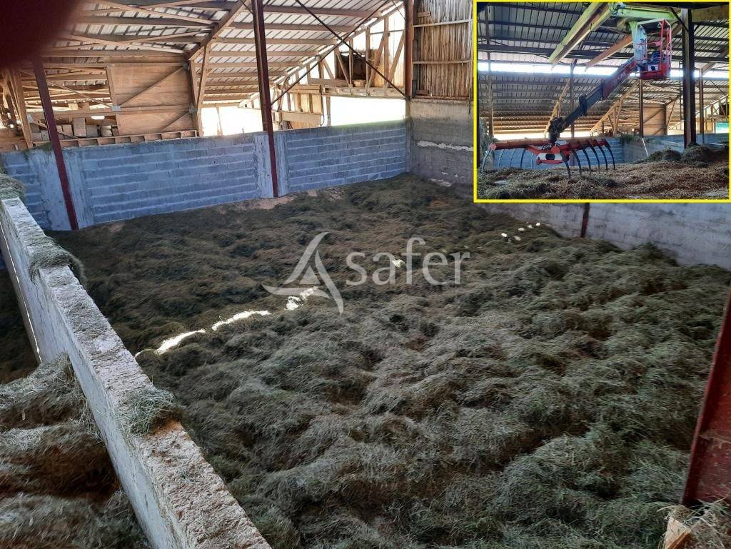 Landbouw bedrijf Koop Jura