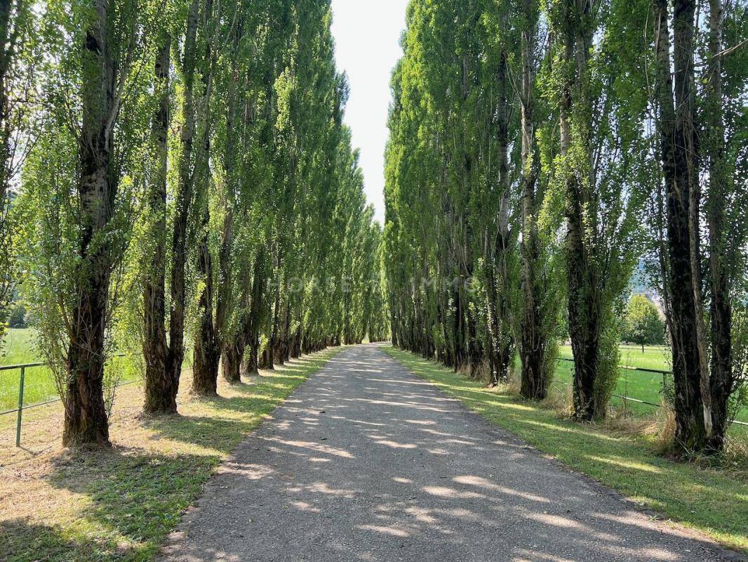 Mooi hippisch vastgoed Koop Jura