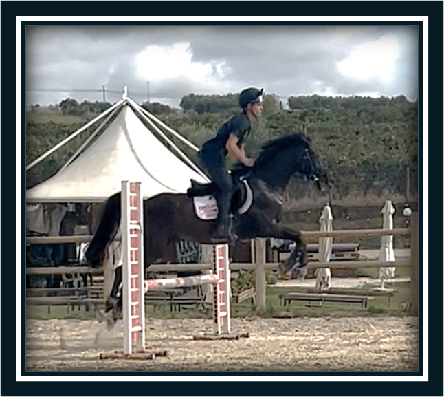 Ruin Engelse rijpony Te koop 2018 Bruin / Bai ,  GREENGAGE  FOOL