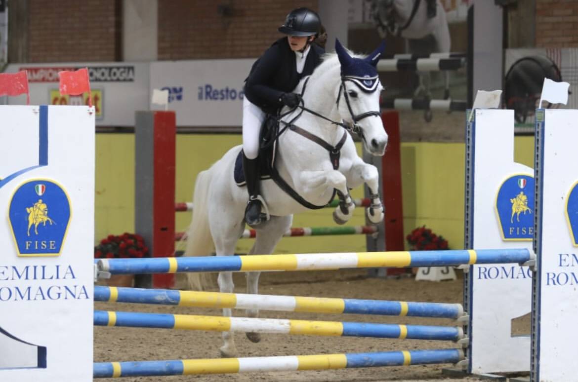 Merrie Connemara Te koop 2011 Schimmel ,  VA TOUT DU RUERE