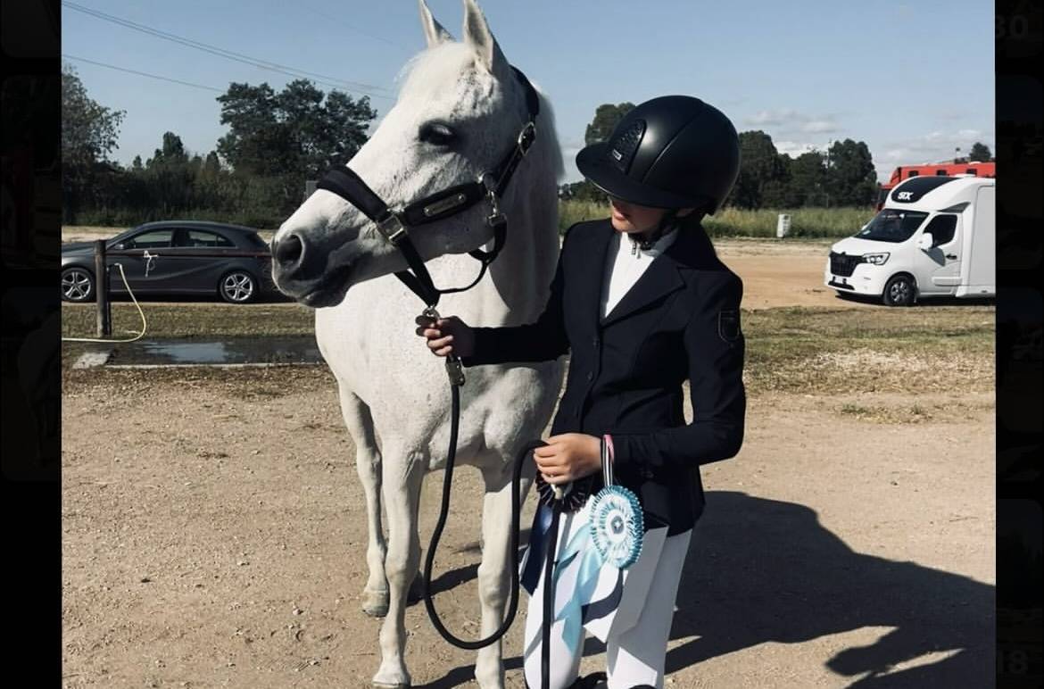 Merrie Connemara Te koop 2011 Schimmel ,  VA TOUT DU RUERE