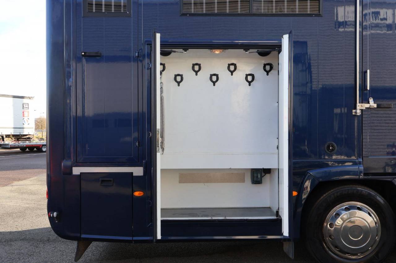 Zware paardenvrachtwagen (groot rijbewijs) STX STX 6 CHEVAUX MEGA POP OUT 2011 Tweedehands