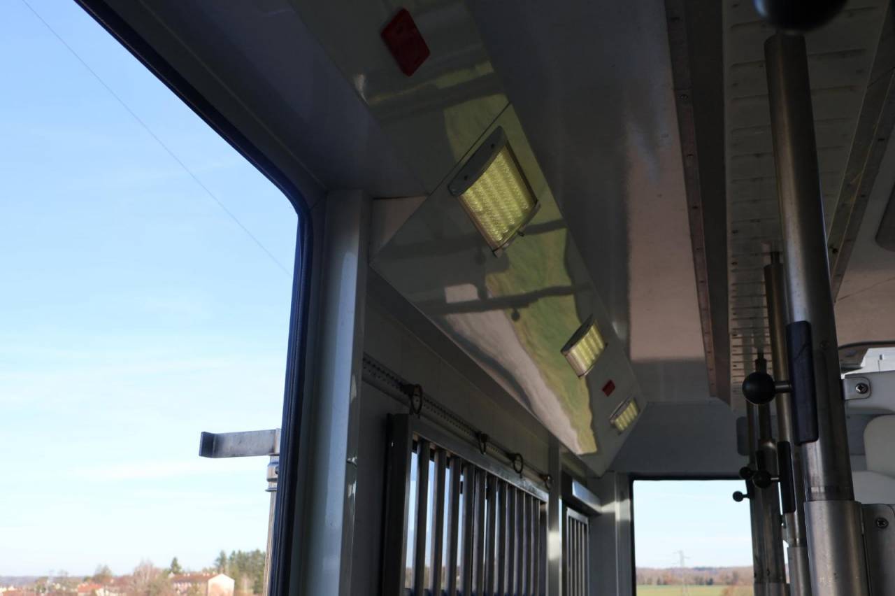 Zware paardenvrachtwagen (groot rijbewijs) STX STX 6 CHEVAUX MEGA POP OUT 2011 Tweedehands