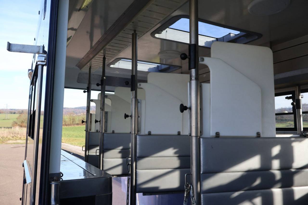 Zware paardenvrachtwagen (groot rijbewijs) STX STX 6 CHEVAUX MEGA POP OUT 2011 Tweedehands