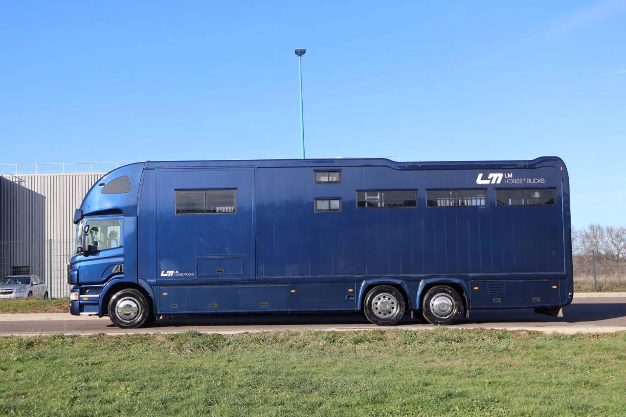 Zware paardenvrachtwagen (groot rijbewijs) STX STX 6 CHEVAUX MEGA POP OUT 2011 Tweedehands