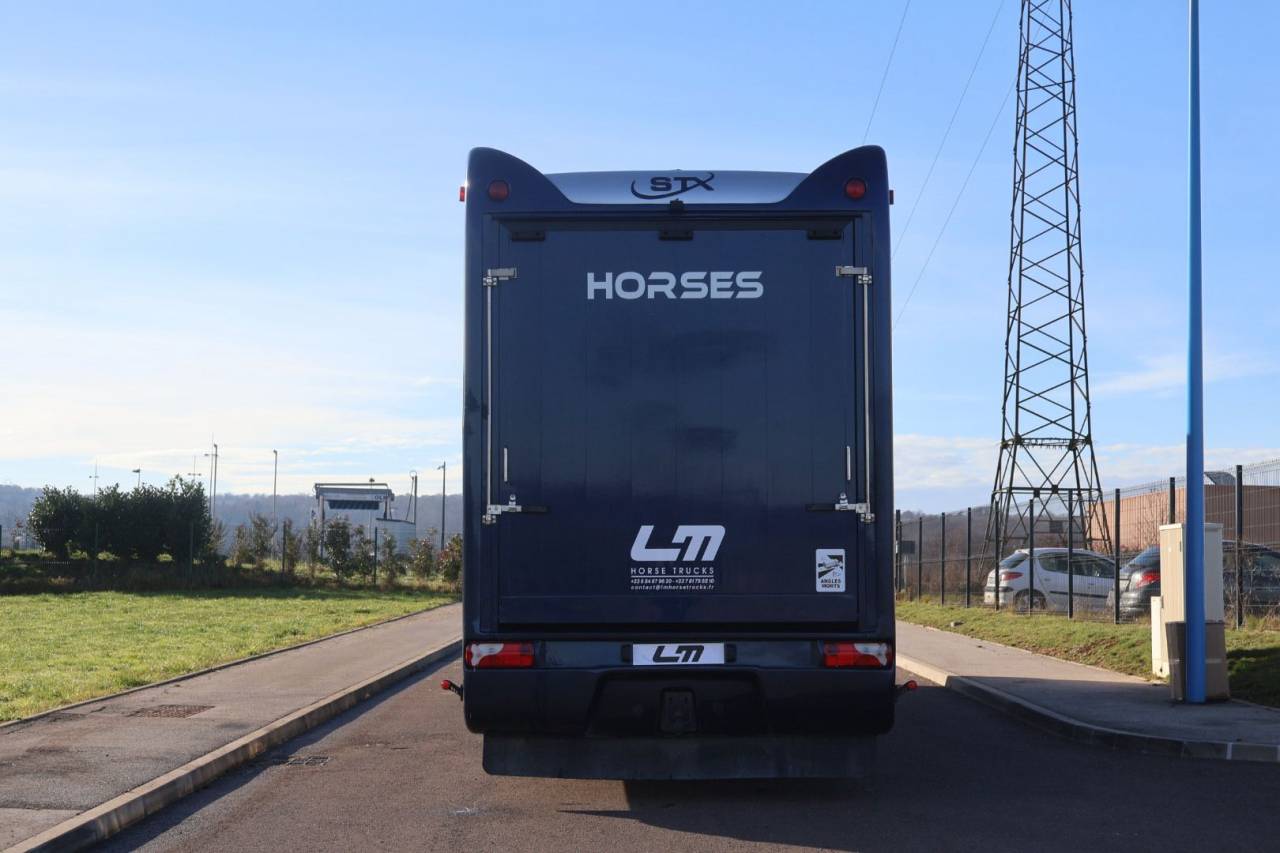 Zware paardenvrachtwagen (groot rijbewijs) STX STX 6 CHEVAUX MEGA POP OUT 2011 Tweedehands