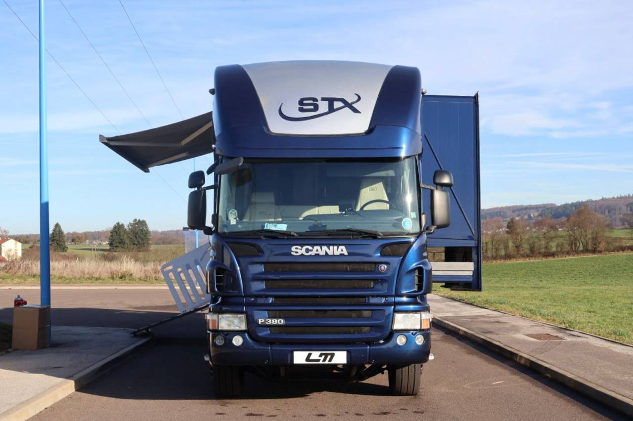 Zware paardenvrachtwagen (groot rijbewijs) STX STX 6 CHEVAUX MEGA POP OUT 2011 Tweedehands