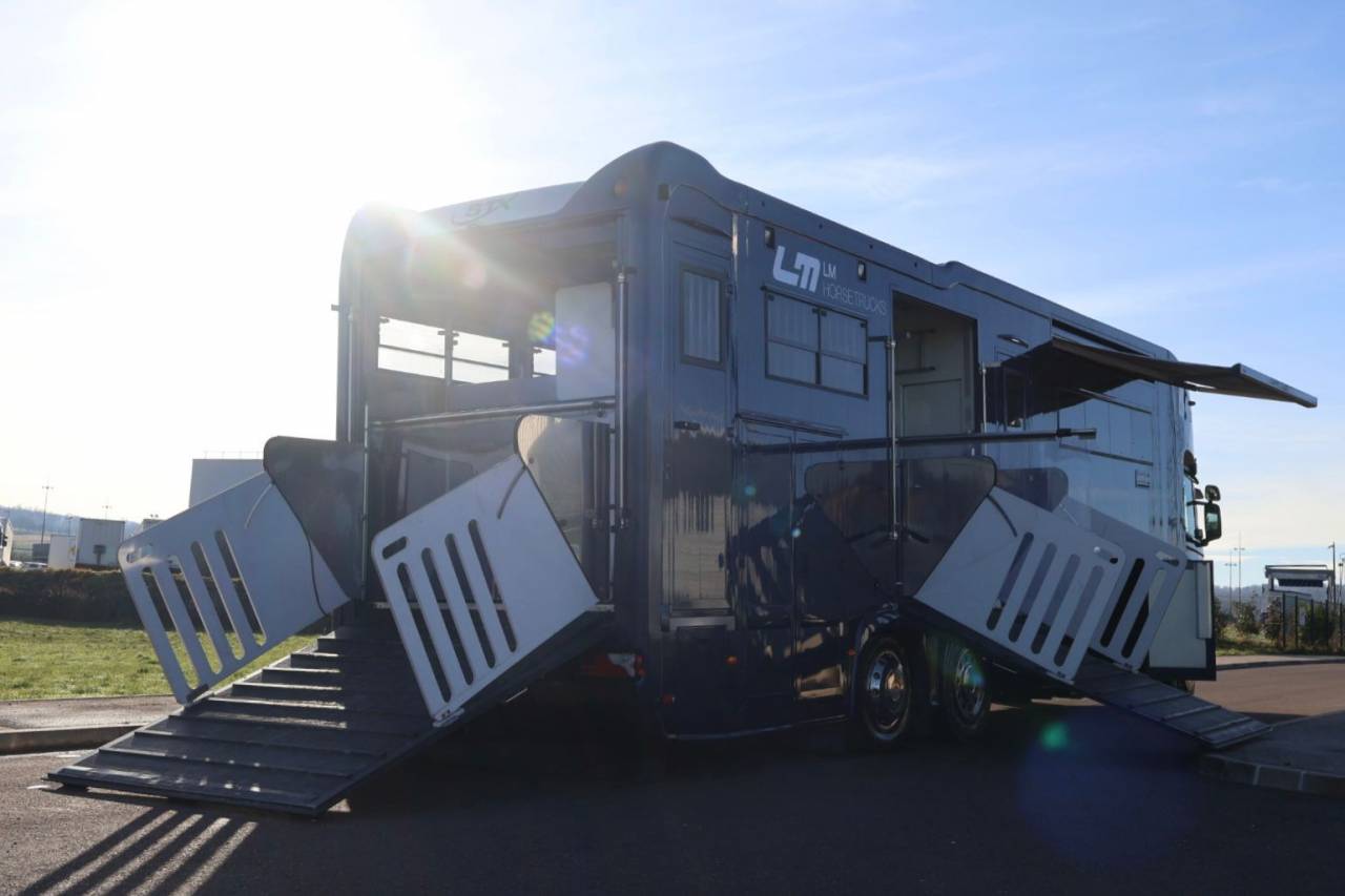 Zware paardenvrachtwagen (groot rijbewijs) STX STX 6 CHEVAUX MEGA POP OUT 2011 Tweedehands