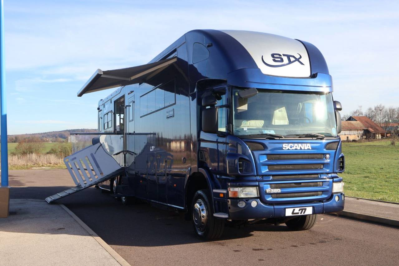 Zware paardenvrachtwagen (groot rijbewijs) STX STX 6 CHEVAUX MEGA POP OUT 2011 Tweedehands