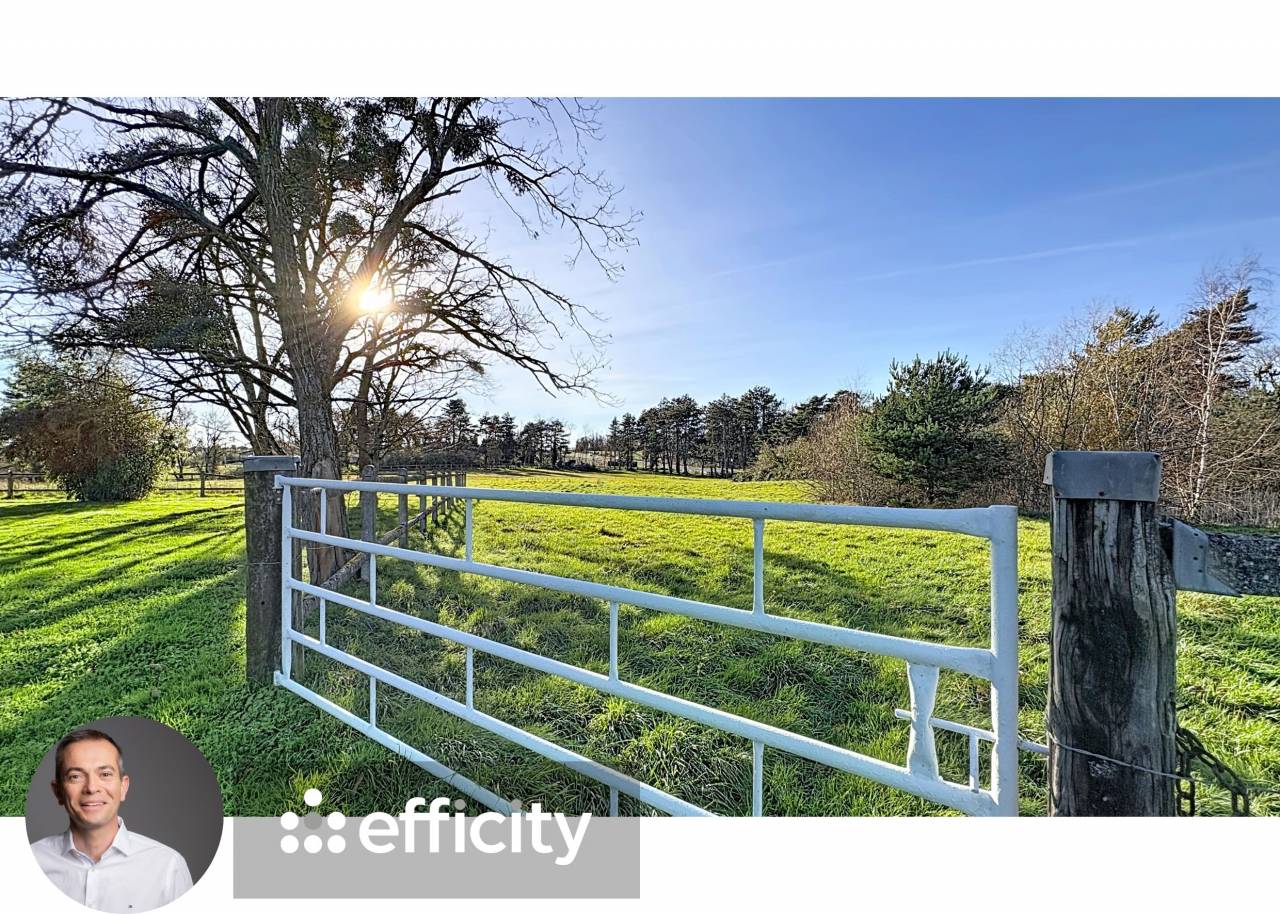 Mooi hippisch vastgoed Koop Allier