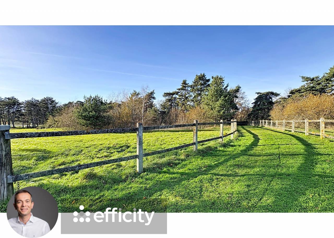 Mooi hippisch vastgoed Koop Allier